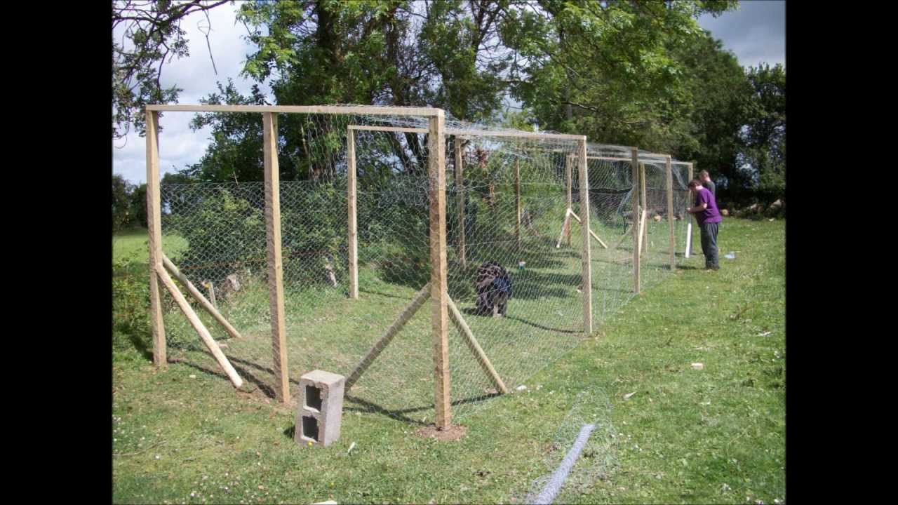 Pheasant Project (Part 3)- Big Coop 40x9ft - YouTube