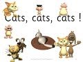 Cat, Cats, Cats - SSP Purple Level Reader, Rap, and Poems