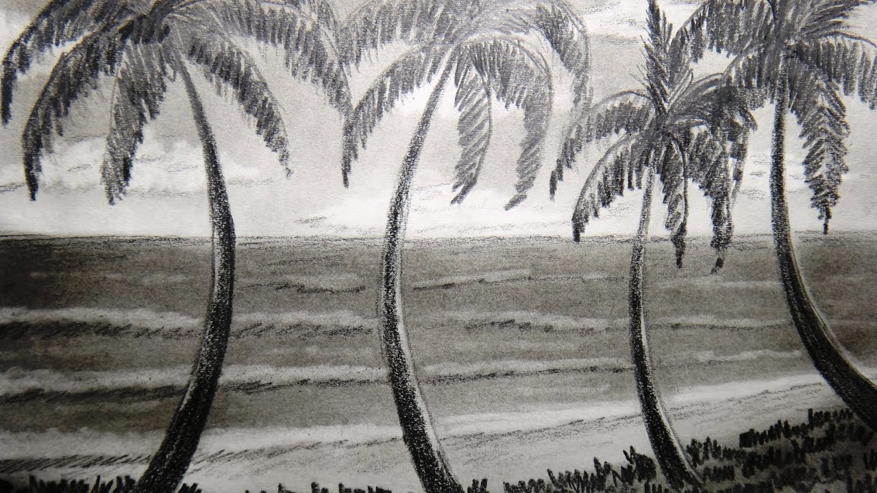 How to draw seashore and palm tree - Part 1 - YouTube