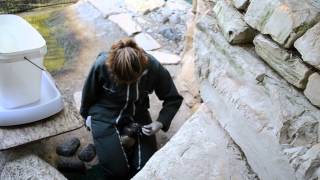 Maltraitance au zoo de la Palmyre sur un pingouin