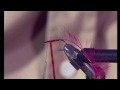 Sporting Scene - Fly Tying and Fly Fishing Sea Trout Flies .