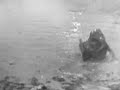 Top Secret ALIEN contact Russian film DISCOVERED. Real UFO CRASH video of survivors or hoax?