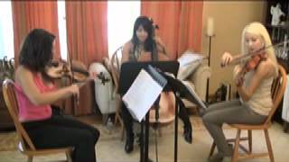 Los Angeles String Trio-Here Comes The Sun-Classical Wedding Musicians