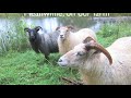 Ben Falk at NOFA VT 2013: Homestead and Farm Resiliency - Principles in Practice