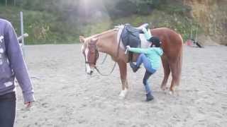 Testimony KH ridden by a 6-year-old at Camp