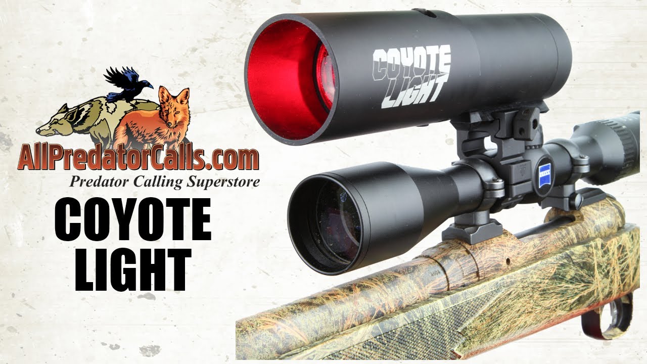 Coyote Light Night Hunting Light for Hogs and Predators YouTube