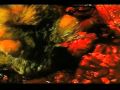 CAT IN THE BRAIN trailer.mov