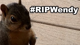 #RIPWendy