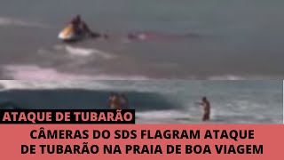 [JC] - Ataque de tubarão em Boa Viagem, Recife, Brasil