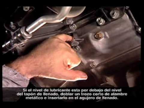 revision de niveles de caja de cambios automatica - YouTube