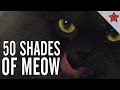 Colonel Meow's Diaries: 50 Shades of Meow