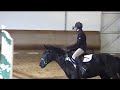 CIR 2009 SHA NICO 2 eme essai.avi
