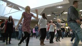 Flash Mob Proposal - Holmbush Centre - Shoreham by Sea.