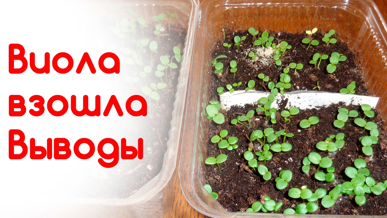 Что за грунт мергель Что за грунт мергель