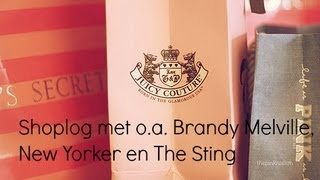 Collective shoplog met o.a. Brandy Melville, New Yorker en The Sting.