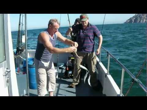 shark fishing 2012