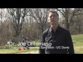 Weed Control Techniques - Part 2 of 4