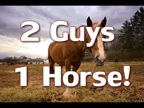 Two guys one horse