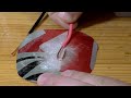 Make a Static Electricity Generator & Cast Lightning from Your Fingertips