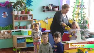 Есть ли нарушение законодательства в детском саду п. Чернореченский, выяснит прокуратура в 30-дневный срок