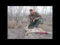Why do I trap rant, checking my last bobcat trap while trapping 2013