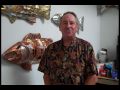 Interview with artist Richard Feese Interview with artist Richard Feese