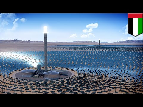 Dubai solar park: Dubai green lights world's largest concentrated solar project - TomoNews
