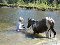 Sunshine et la baignade