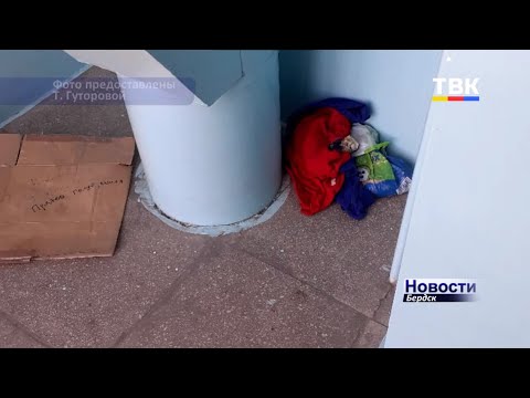 Как отсутствие взаимопонимания у соседей приводит к бытовым проблемам в бердском многоквартирнике Как отсутствие взаимопонимания у соседей приводит к бытовым проблемам в бердском многоквартирнике