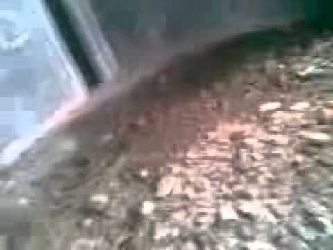 Mesum di rumah kosong - YouTube