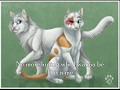 Warrior Cats Theme Songs - The Original Series and The New Prophecy