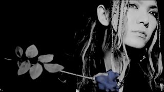 SCREW - SPIRAL OF MISTRUST