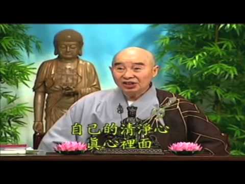 Kinh Vô Lượng Thọ (Giảng Lần Thứ 10, 1998) (Tập 165, 166, 167 Và 168)