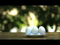 Tea Party in Super Slow Motion