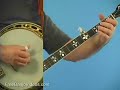 Banjo Lesson: Blackberry Blossom