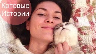 Как появились Плюша и Дина. Котовые Истории.