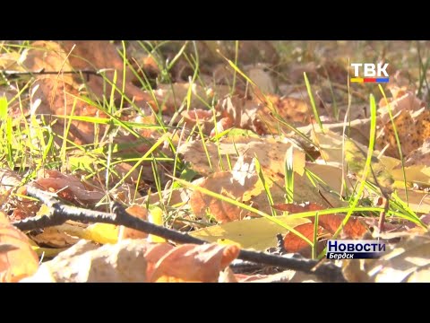 Бердчан призывают сделать свой город чище! Бердчан призывают сделать свой город чище!