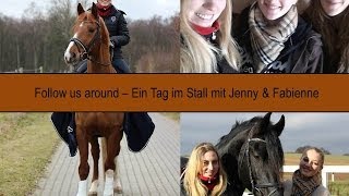 Follow us around - Das alltägliche Leben im Stall