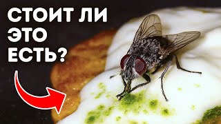 Тревожные секреты насекомых, от которых мурашки по коже