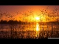 Pascal Prendi - Emotional Progressive-House Mix (2013)