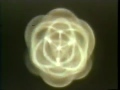 What will happen to us on a molecular level. molecular changes of 2012 Gregg Braden.flv