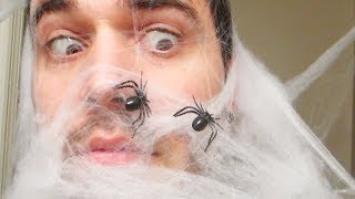 SPIDER ATTACK!!! (11.2.13 - Day 1647)