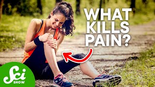 Why We Have Pain, & How We Kill It