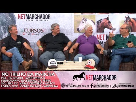 #53 - 15/10/2018 - PLÍNIO SIQUEIRA E MARCO LIVRÃO - MANGALARGA MARCHADOR