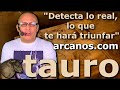 Video Horscopo Semanal TAURO  del 15 al 21 Septiembre 2024 (Semana 2024-38) (Lectura del Tarot)