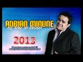 Adrian Minune - Azi beau de fericire Manele Noi 2014