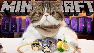 Minecraft: Galacticraft - Cat Food (#12)