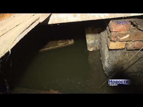 Дома на воде: грунтовые воды топят и разрушают частный сектор Бердска Дома на воде: грунтовые воды топят и разрушают частный сектор Бердска