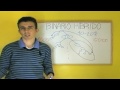 Binario Híbrido - Plan de Compensación Binario Híbrido