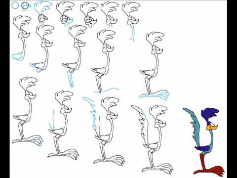 How To Draw A Roadrunner Easy - Add more detail to the wings. - Books